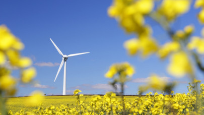 Electromontaj to build 60 MW wind farm in Ruginoasa