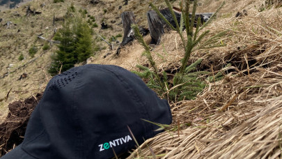 Zentiva wants to plant 1 million trees by 2030