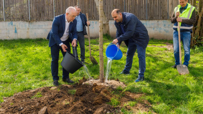 Cluj-Napoca to plant over 1,200 trees this fall