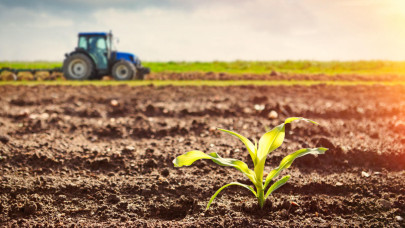 EC adopts antitrust guidelines for sustainability agreements in agriculture