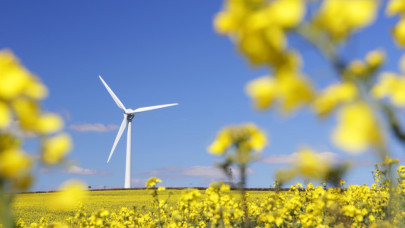 Wind energy surpasses gas-fired power plants for first time in Europe