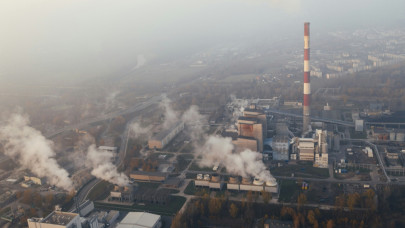 EU agrees on carbon removal certification framework
