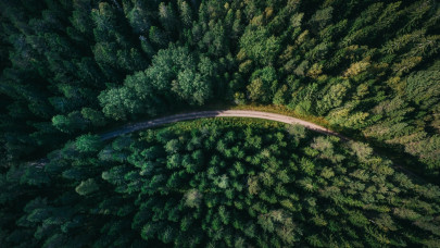 OMV Petrom to plant 25 urban forests in Romania in 2024